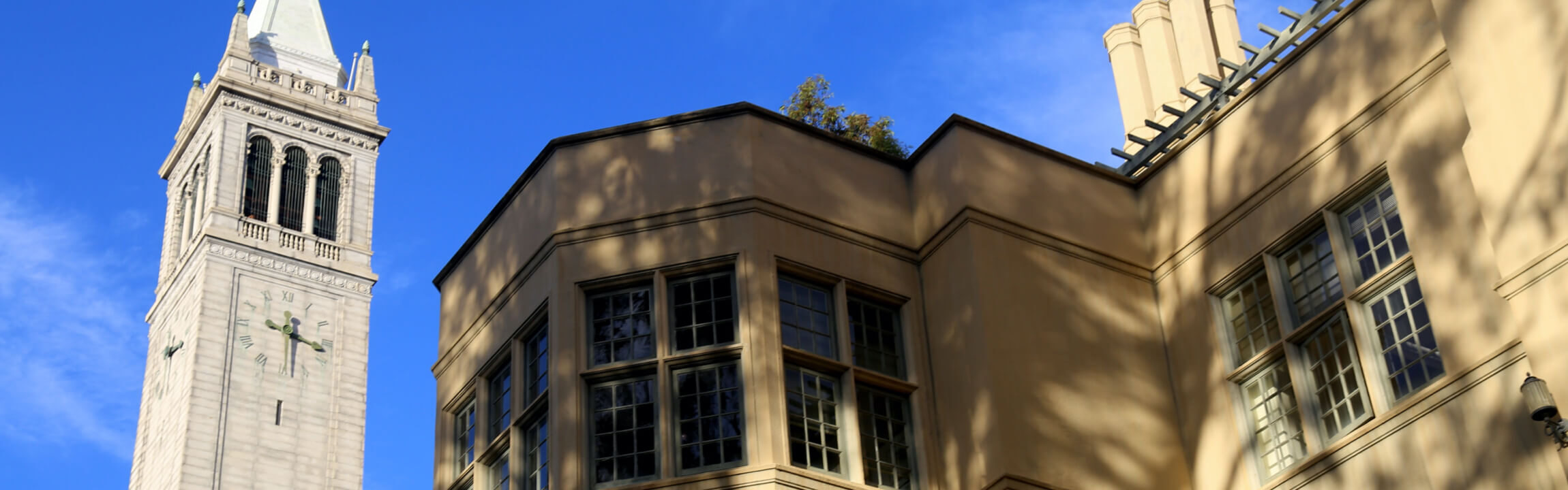 Photo of Stephens Hall and The Campanile on the UC Berkeley campus