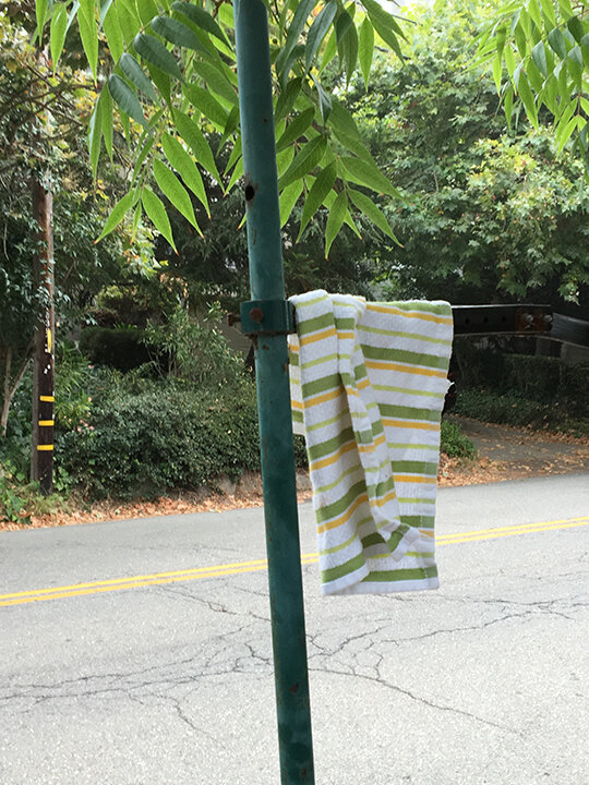 Striped Towel on Pole near Street