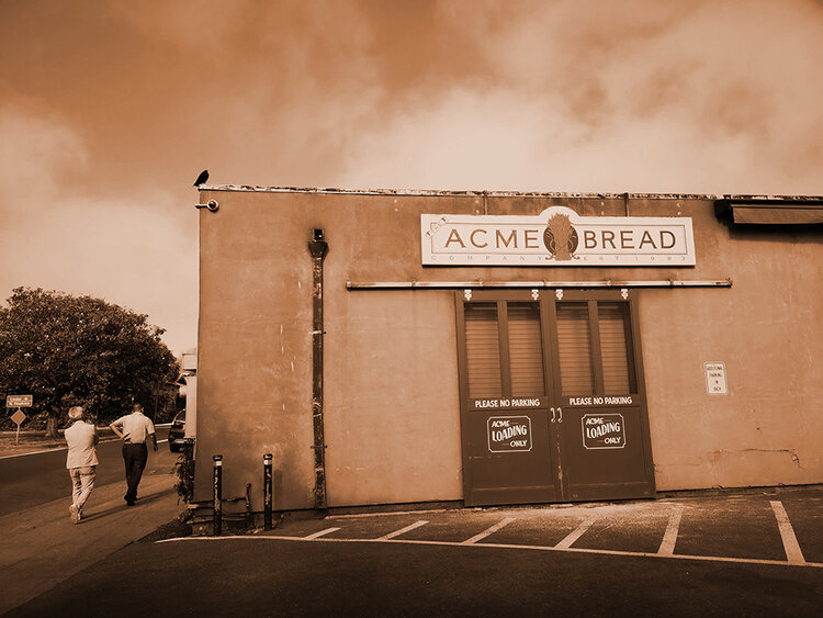 Acme Bread Store in Sepia