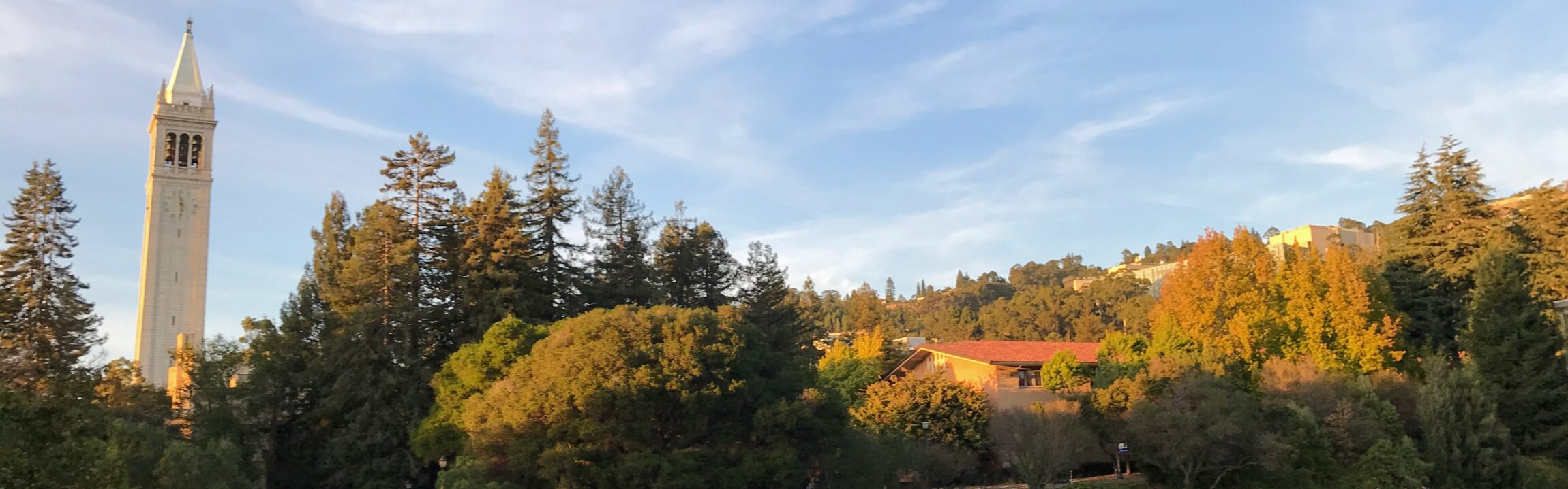Campanile, Fall View