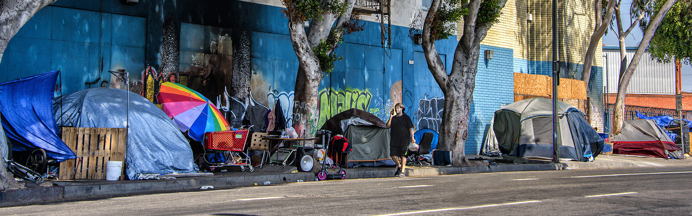 essay on homelessness in california