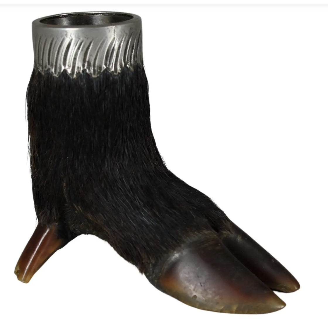 a boars foot with a silver pen holder embedded